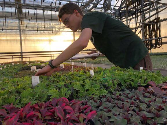 Horticulture jobs thornton colorado